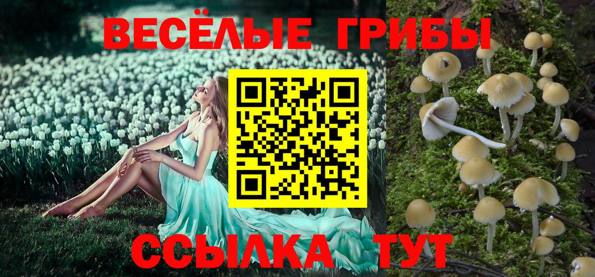 Кандалакша  Галлюциногенные грибы мухоморы  Вход с VPN 
